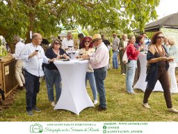 Festival Mar de Tethys 2026 - Bodega Vetas